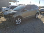 2013 Ford Escape Se Green vin: 1FMCU0GXXDUC88480