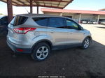 2013 Ford Escape Se Silver vin: 1FMCU0GXXDUD70161