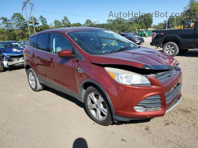 2014 Ford Escape Se Бордовый vin: 1FMCU0GXXEUA35547