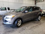 2014 Ford Escape Se Серый vin: 1FMCU0GXXEUA67298