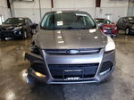 2014 Ford Escape Se Gray vin: 1FMCU0GXXEUA67298