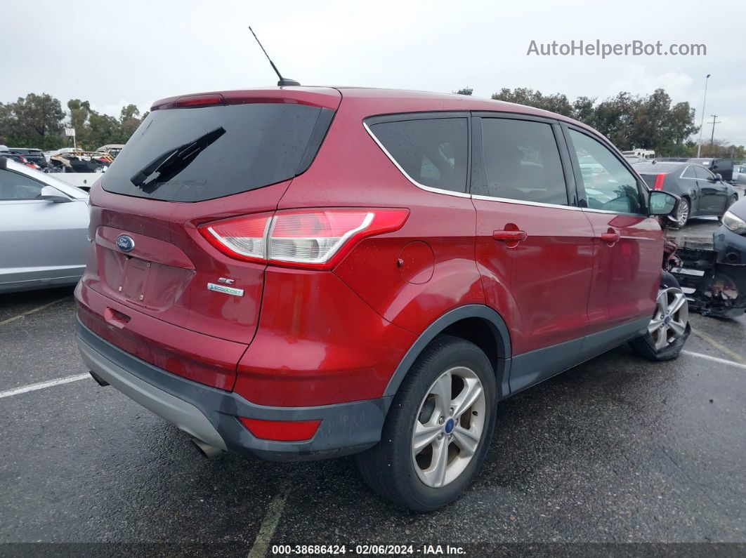 2014 Ford Escape Se Red vin: 1FMCU0GXXEUA88457