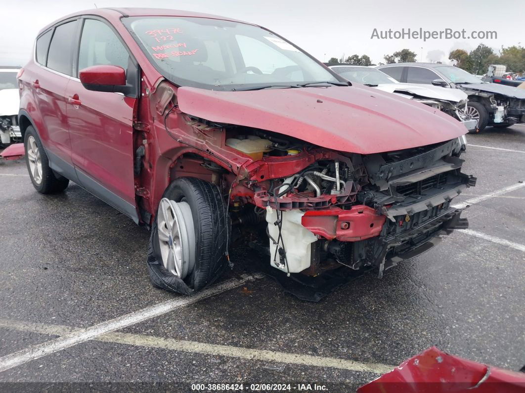 2014 Ford Escape Se Red vin: 1FMCU0GXXEUA88457