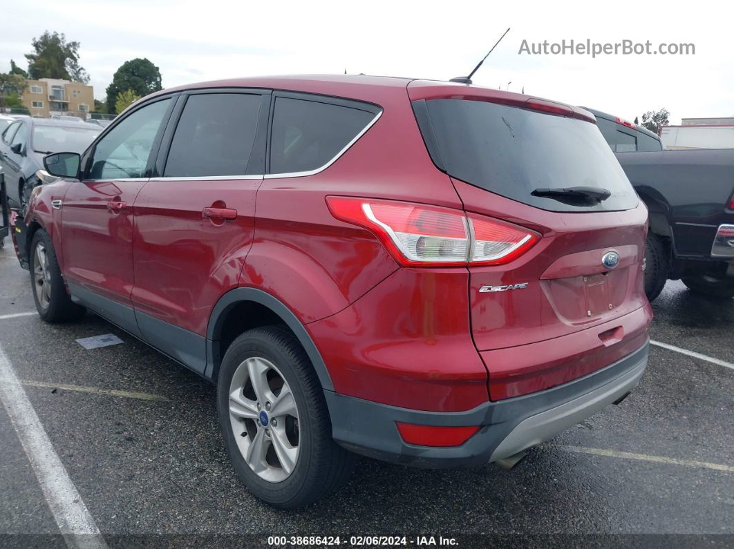 2014 Ford Escape Se Red vin: 1FMCU0GXXEUA88457