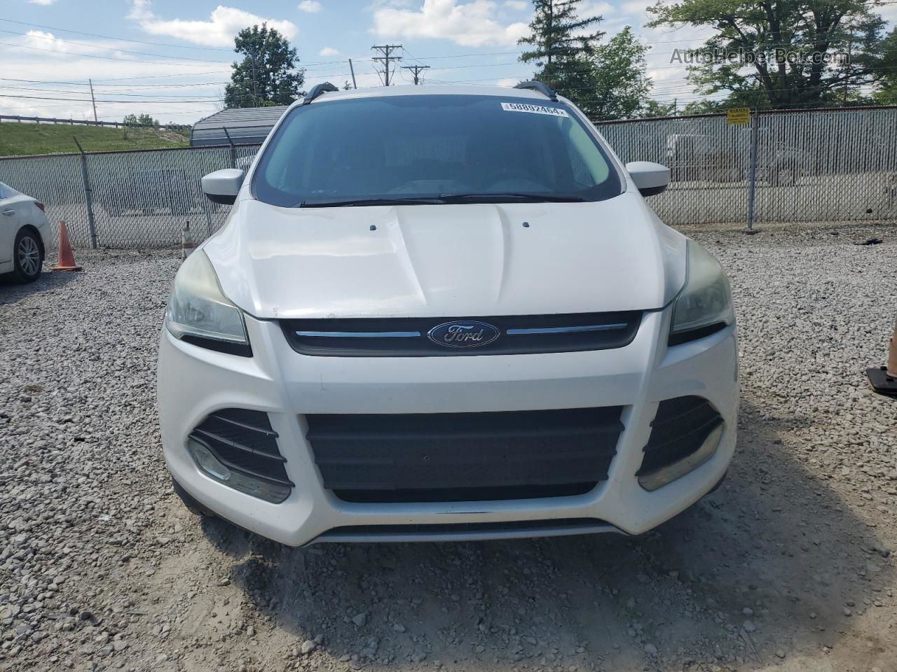 2014 Ford Escape Se White vin: 1FMCU0GXXEUB83259