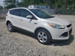 2014 Ford Escape Se White vin: 1FMCU0GXXEUB83259