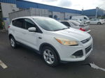 2014 Ford Escape Se vin: 1FMCU0GXXEUC02778