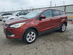 2014 Ford Escape Se Burgundy vin: 1FMCU0GXXEUD37209