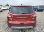 2014 Ford Escape Se Burgundy vin: 1FMCU0GXXEUD37209