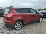 2014 Ford Escape Se Burgundy vin: 1FMCU0GXXEUD37209