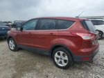 2014 Ford Escape Se Burgundy vin: 1FMCU0GXXEUD37209