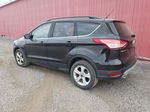 2014 Ford Escape Se Black vin: 1FMCU0GXXEUD89570