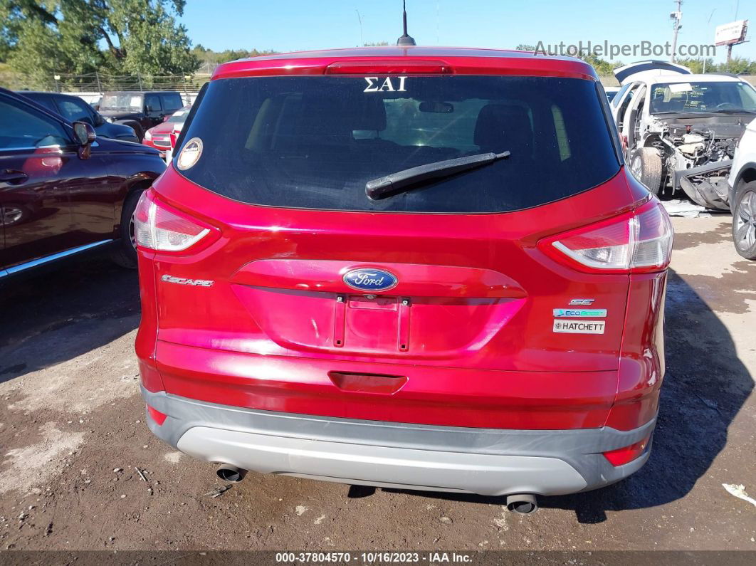 2014 Ford Escape Se Red vin: 1FMCU0GXXEUE11793