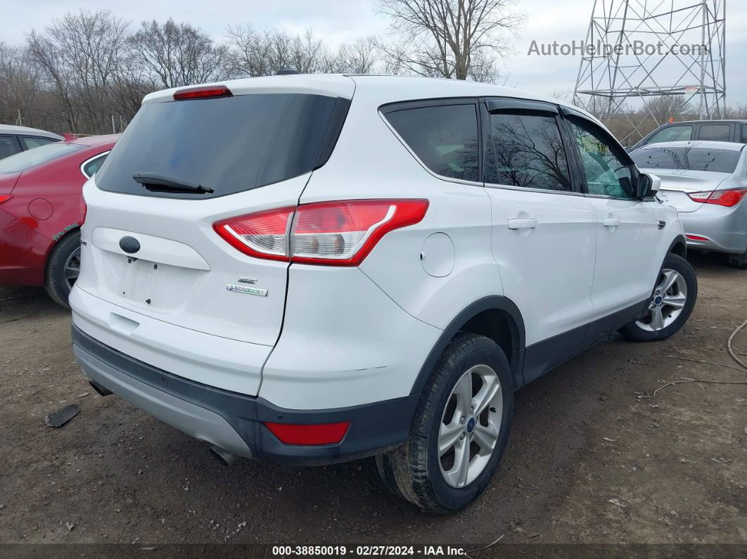 2015 Ford Escape Se White vin: 1FMCU0GXXFUA81915