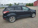 2015 Ford Escape Se Black vin: 1FMCU0GXXFUB85854