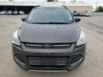 2015 Ford Escape Se Gray vin: 1FMCU0GXXFUC03270