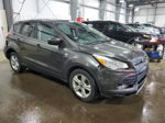 2015 Ford Escape Se Gray vin: 1FMCU0GXXFUC26046