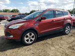 2015 Ford Escape Se Красный vin: 1FMCU0GXXFUC87154