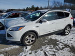 2016 Ford Escape Se White vin: 1FMCU0GXXGUB19693