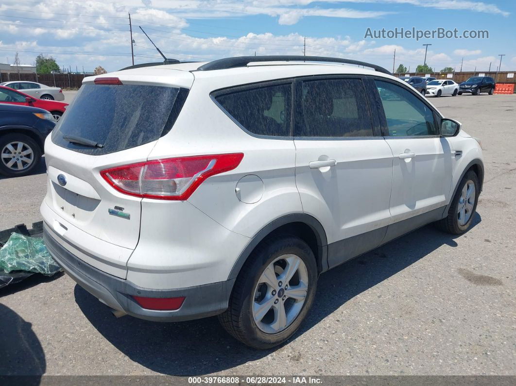 2016 Ford Escape Se White vin: 1FMCU0GXXGUB99822