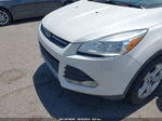 2016 Ford Escape Se White vin: 1FMCU0GXXGUB99822