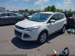 2016 Ford Escape Se Белый vin: 1FMCU0GXXGUB99822