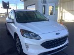 2021 Ford Escape Sel vin: 1FMCU0H60MUA72658