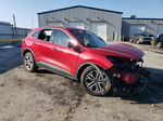 2021 Ford Escape Sel Red vin: 1FMCU0H65MUA09040