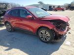 2021 Ford Escape Sel Red vin: 1FMCU0H68MUB36428