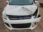 2013 Ford Escape Sel Белый vin: 1FMCU0H90DUA39928