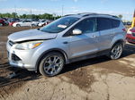 2013 Ford Escape Sel Gray vin: 1FMCU0H90DUD67348