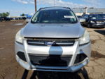 2013 Ford Escape Sel Gray vin: 1FMCU0H90DUD67348