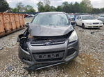 2013 Ford Escape Sel Gray vin: 1FMCU0H91DUA79600