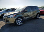 2013 Ford Escape Sel Green vin: 1FMCU0H92DUB70469