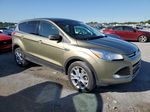 2013 Ford Escape Sel Green vin: 1FMCU0H92DUB70469