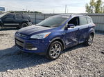 2013 Ford Escape Sel Синий vin: 1FMCU0H92DUC30931