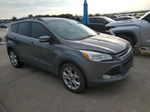 2013 Ford Escape Sel Gray vin: 1FMCU0H93DUC46412