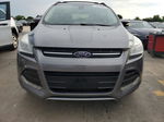 2013 Ford Escape Sel Gray vin: 1FMCU0H93DUC46412