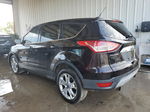 2013 Ford Escape Sel Черный vin: 1FMCU0H93DUD40631