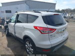 2013 Ford Escape Sel Белый vin: 1FMCU0H94DUC08087