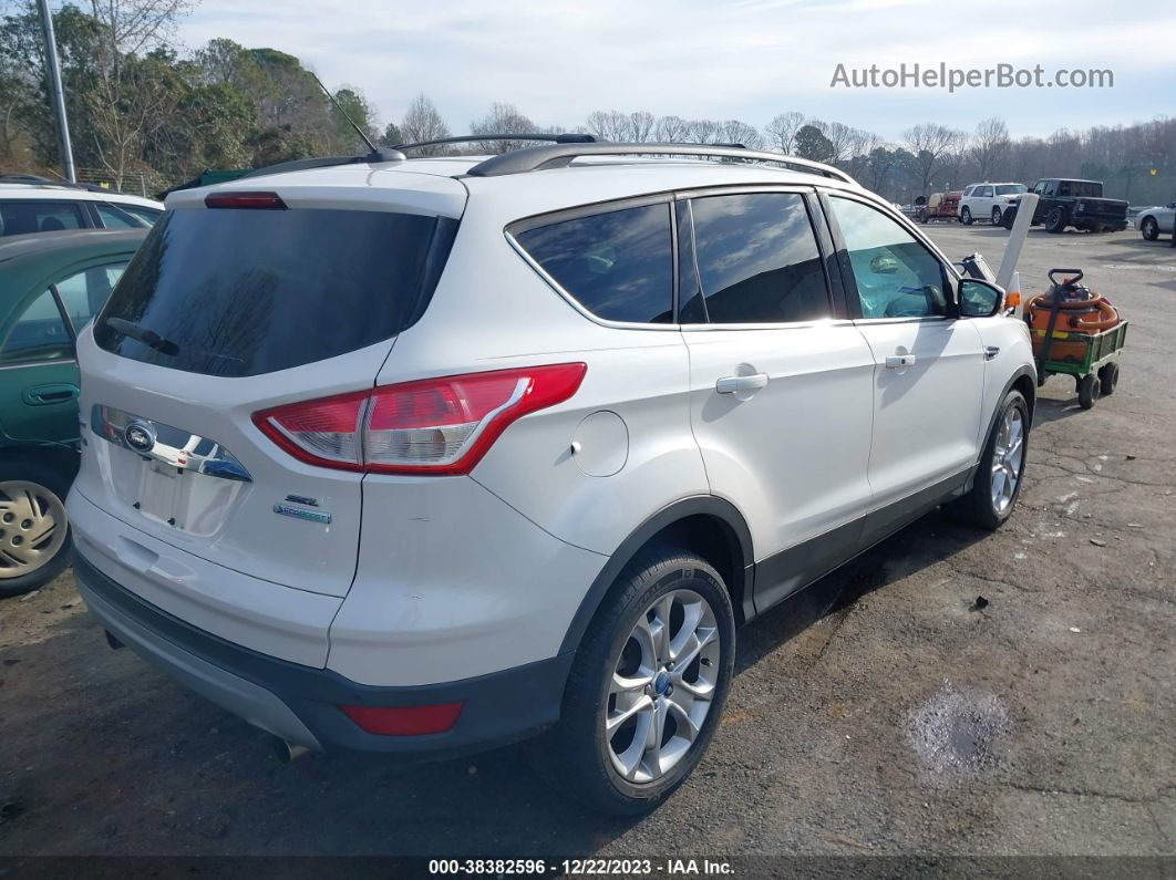 2013 Ford Escape Sel White vin: 1FMCU0H94DUC08087