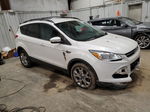 2013 Ford Escape Sel White vin: 1FMCU0H94DUD36717