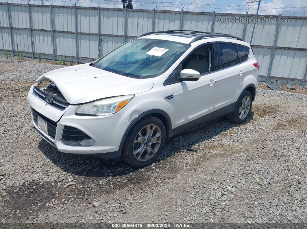 2013 Ford Escape Sel White vin: 1FMCU0H95DUA57549