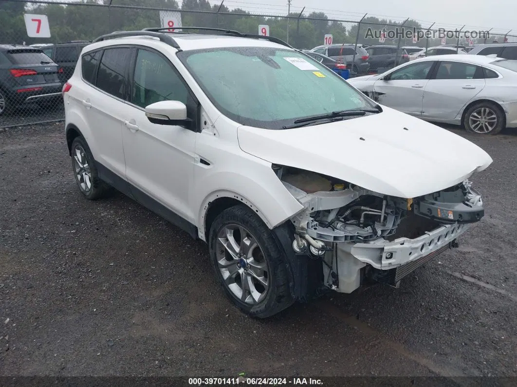 2013 Ford Escape Sel Белый vin: 1FMCU0H96DUA13706