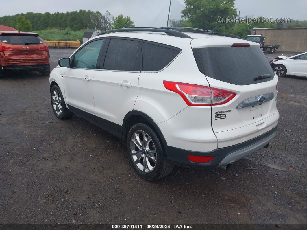 2013 Ford Escape Sel White vin: 1FMCU0H96DUA13706