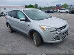 2013 Ford Escape Sel Silver vin: 1FMCU0H96DUC27059