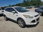 2013 Ford Escape Sel White vin: 1FMCU0H97DUB12731