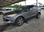 2013 Ford Escape Sel Gray vin: 1FMCU0H98DUA34671