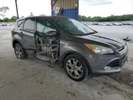 2013 Ford Escape Sel Gray vin: 1FMCU0H98DUA34671