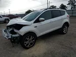 2013 Ford Escape Sel Белый vin: 1FMCU0H9XDUB78271